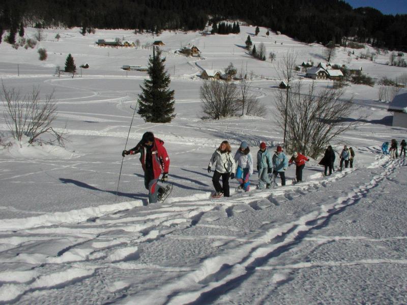 Jezero Bohinj