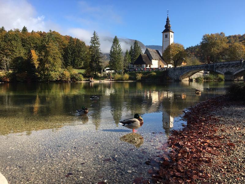 Jezero Hotel 4*