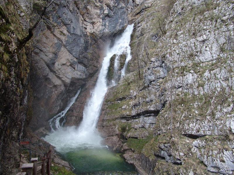 Jezero Bohinj